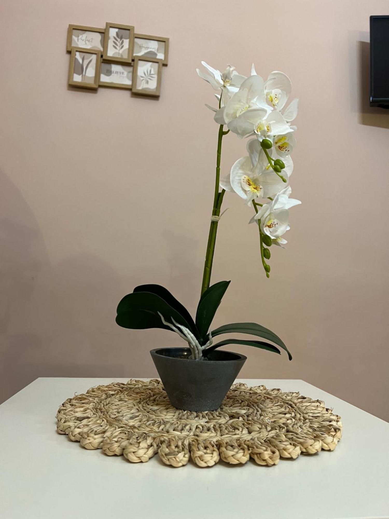 Buongiorno & Benvenuti Hotel Trani Ngoại thất bức ảnh